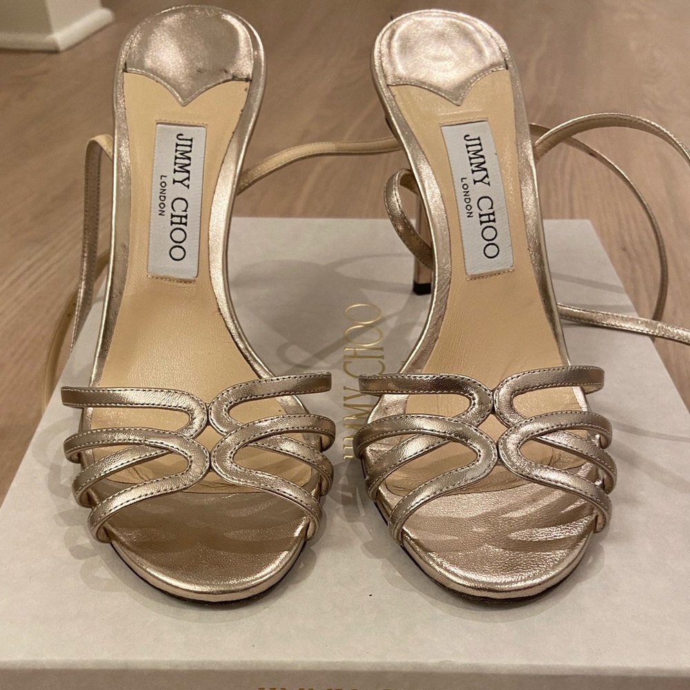 Jimmy Choo Mimi 100 in platinum